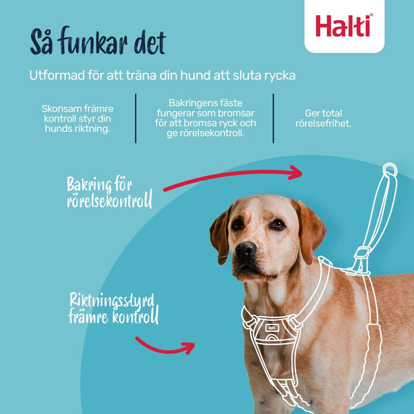 V3HF3A7C28CAE7EF5F60A4ABF4911137423R7523815P2