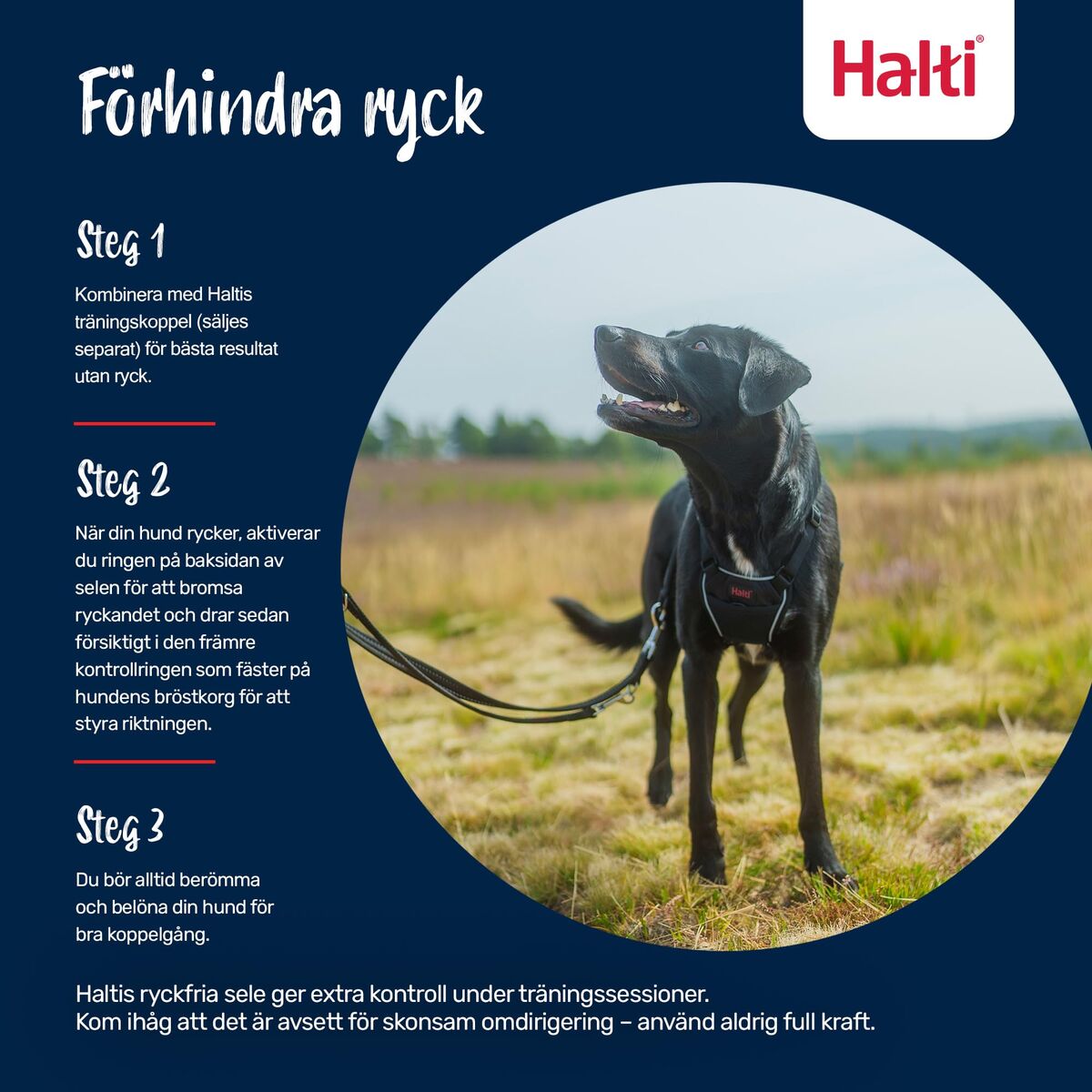 V4H42A32E69DF76A2BDC559F06C7391E52DR7523727P10