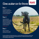 V4HADBCA01F61A6CB5B44263020AF5BB811R7523697P3
