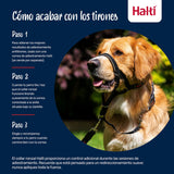 V3HCEB185F71F1D1172EA596F311AF0AA64R7523893P3