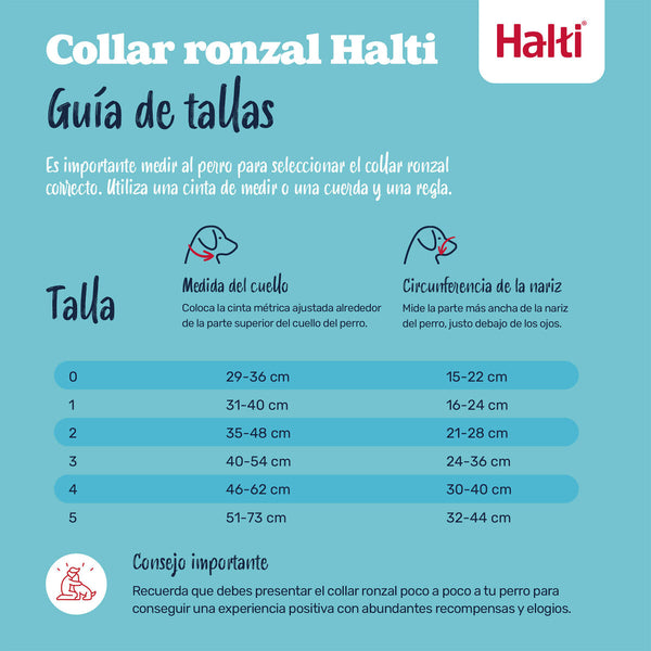 V3HBAB5F9A89B2BDE6550A263AEA61FE25AR7523892P6