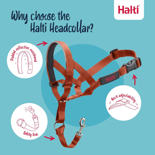 V3H3D1E2C92F5385FD119CF995AB7C46546R7523840P3