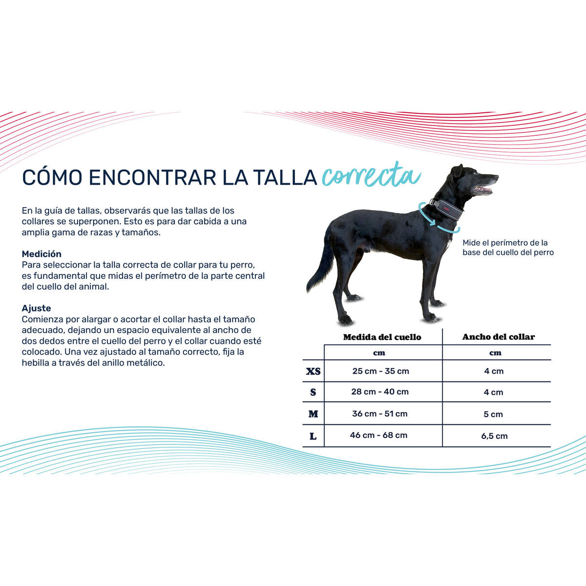 V2HB16224327A5DF201DB01C666A9C4B36CR7722780P6
