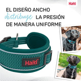 V2HEB919C911A4C018F2B1313F3444C232CR7722835P8