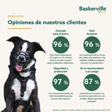 V5HFA20C6B585B661876B02086F529161C5R5327560P9