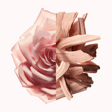 V5H4C4C5D73CD2087F0BEFB4F64BC079E68R5674604P3