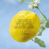 V4HAED640B69D77025D9A2C4FAB4767248DR6241656P3