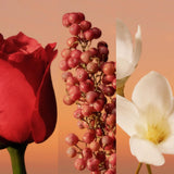 V2H0F5DDC916AB87D65A3F05F7623FDFFCFR7550202P4