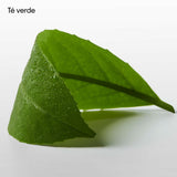 V4HB738E6033736BE3DBFEE2A85E8752BD4R7125024P8