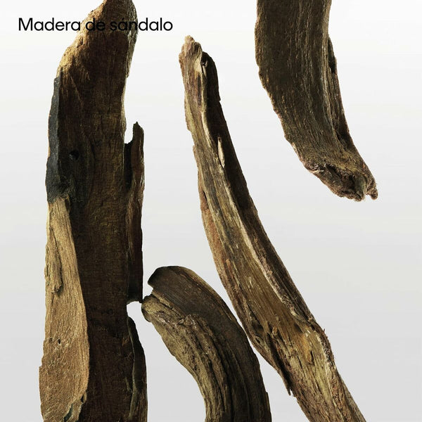 V3H326299D38D33FC3D983EDE57975D8C0ER7125026P10