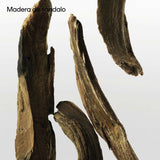 V4HA451631FE9227BB0A437E6188A776E68R5672457P9