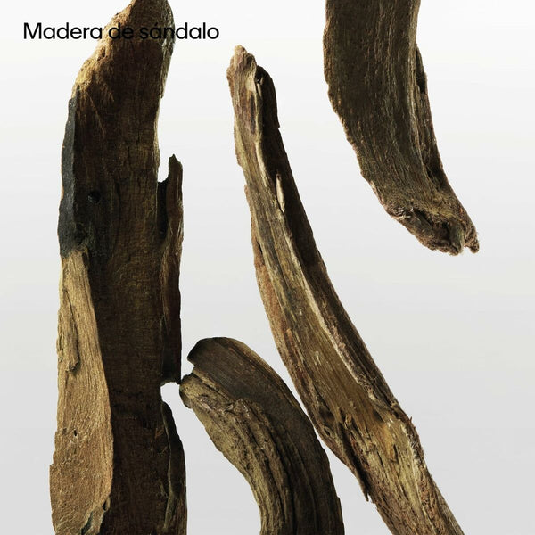 V4HA451631FE9227BB0A437E6188A776E68R5672457P9