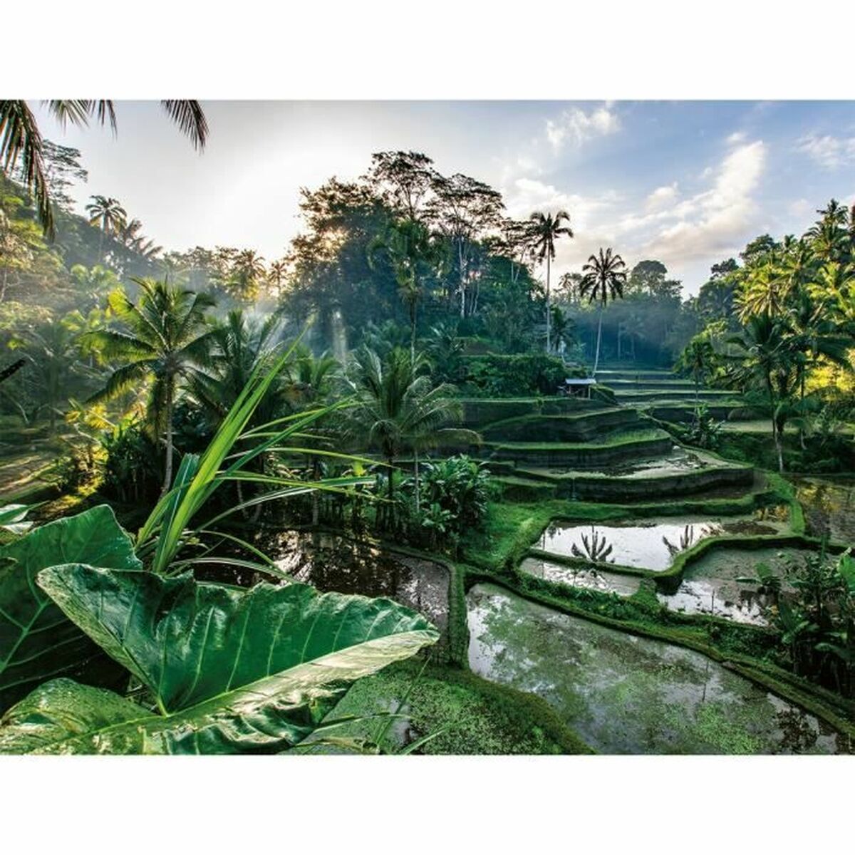 V5H1E990C8315EFF1A8017171EFF68D2394R6361699P2