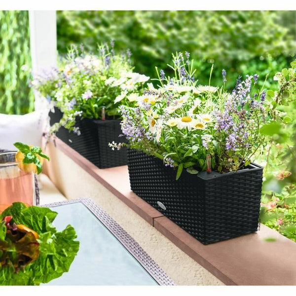 V6H81D557F75D3EE9D466D5D463D2D84065R6458000P2