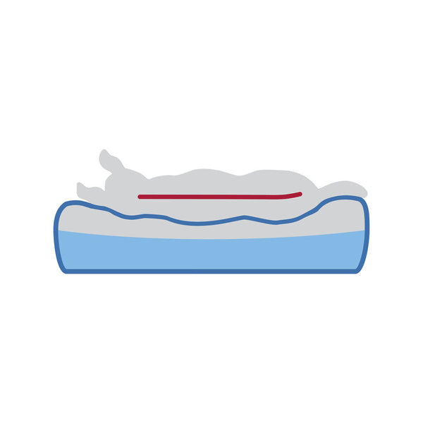 V2HA217626675566A702EFAB02D051C0E38R7565614P5