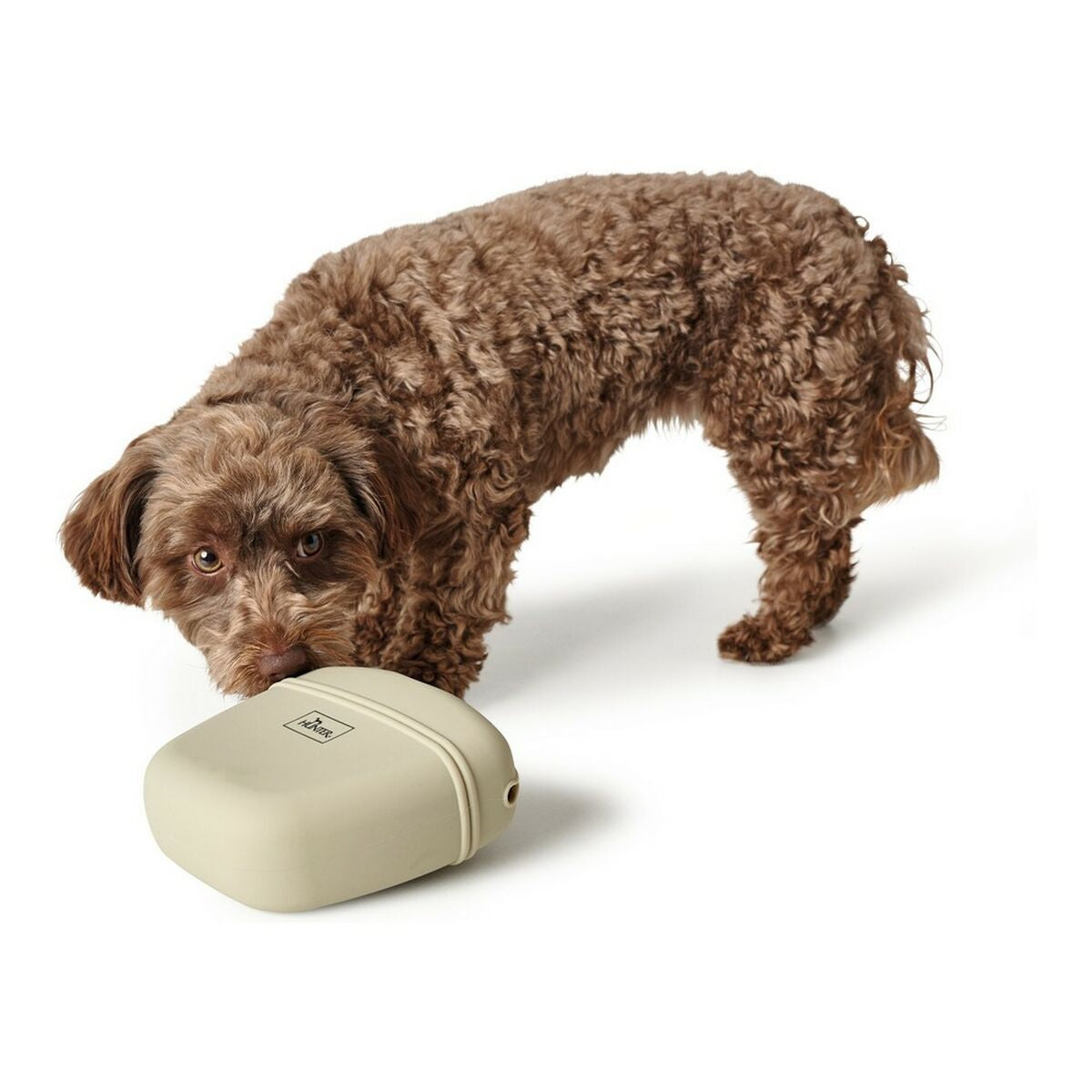 V10H9B2372A6601D60D6D63853F31A559EB5R5597718P3