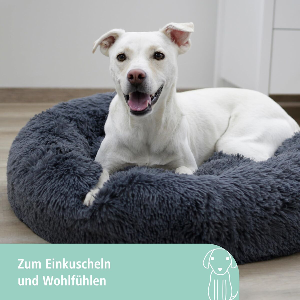 V2H2D80353CECCAA2C06B43ECD30EC81E58R7487183P3