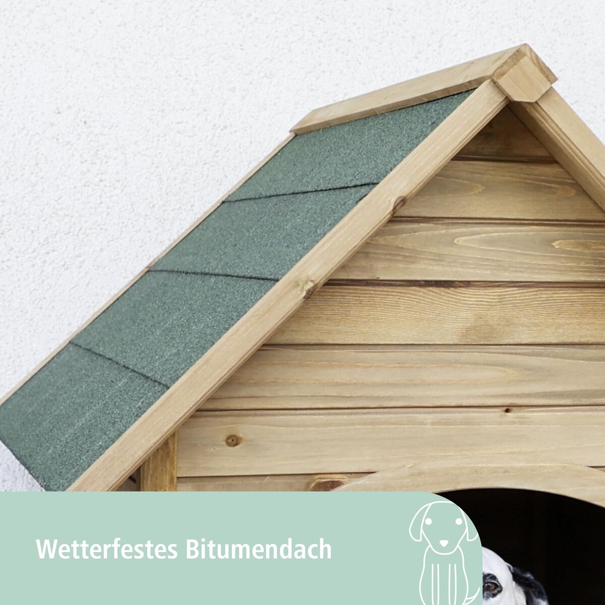 V2H59ABAA521837F380A332A9D8050EC654R7481102P3