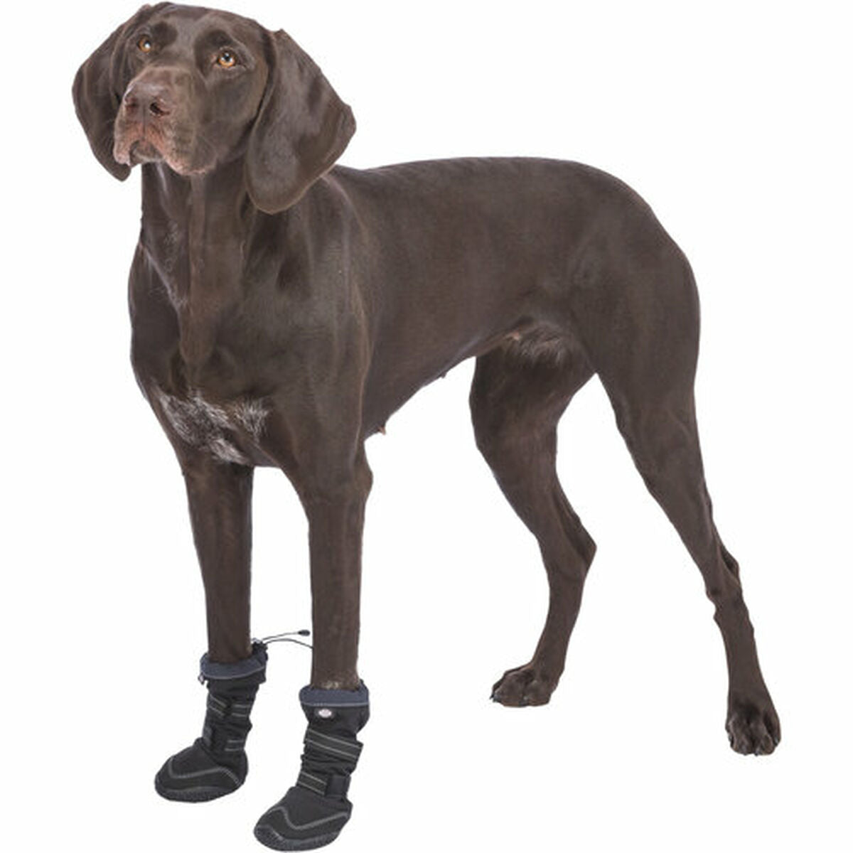 V5H42740001C260477EFD0D8B9124053C4FR7451700P10