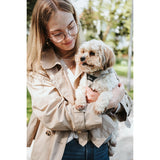 V5H9EB7B0F325241855C043606B4CC56BD0R5575612P5