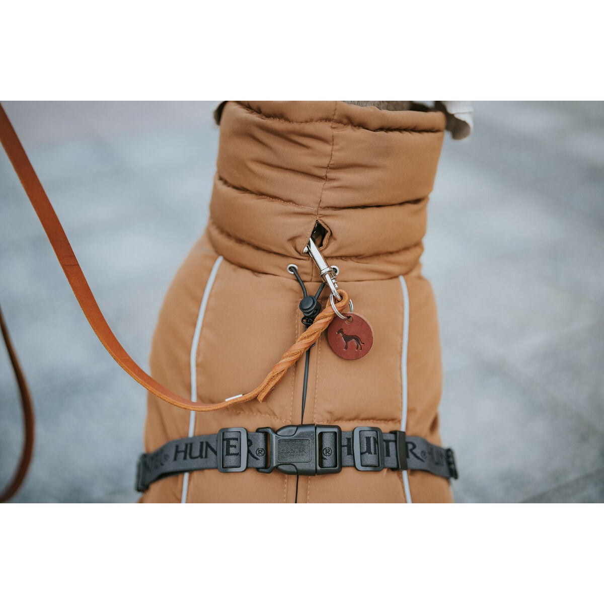 V5H9BF80F5DB74C9FEDBCBC901EB6A79D63R5575984P7