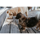 V5H15CA4A8184B12474465F927593094766R6456018P4