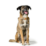 V5HA0738E7F14F181368C6B67514A894858R5575462P3