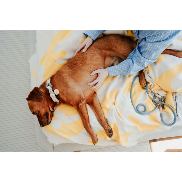 V5HCD140FD2BB2E929FC3A8A2BDE90E078CR5575510P5