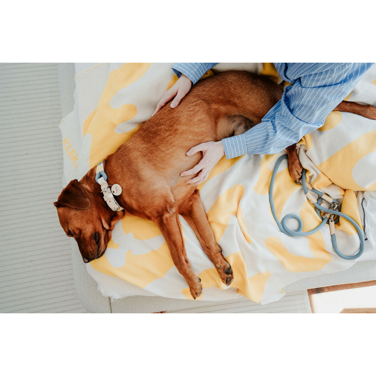 V5H236CD495C55CDD4FEA907415F9150D08R5575436P6