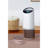 V4HA60C878A0BBE2B3F96F8CA751F0BD667R5565173P3