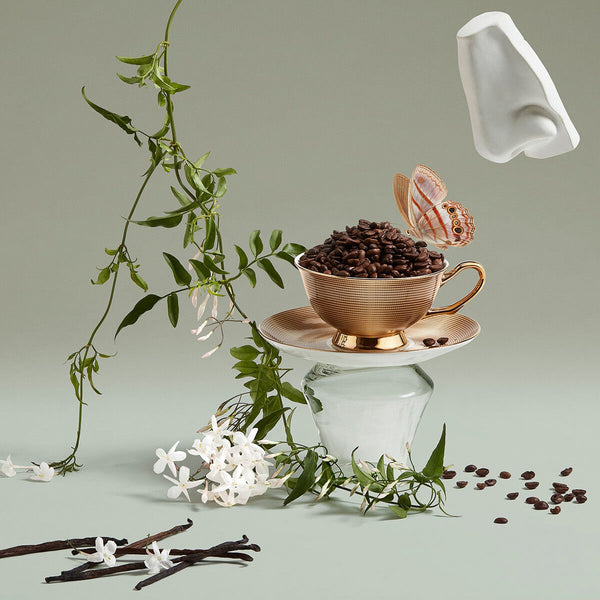 V3H8E9DFD9EF2707DA4FE96F8F5A819418DR7501699P5