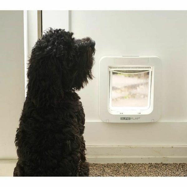 V8HB7994506F60AB8960A3AA4F8C9E77DC0R3745254P4