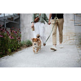 V5HF4CC90341E1B1877460AD8766AD38939R5301591P9