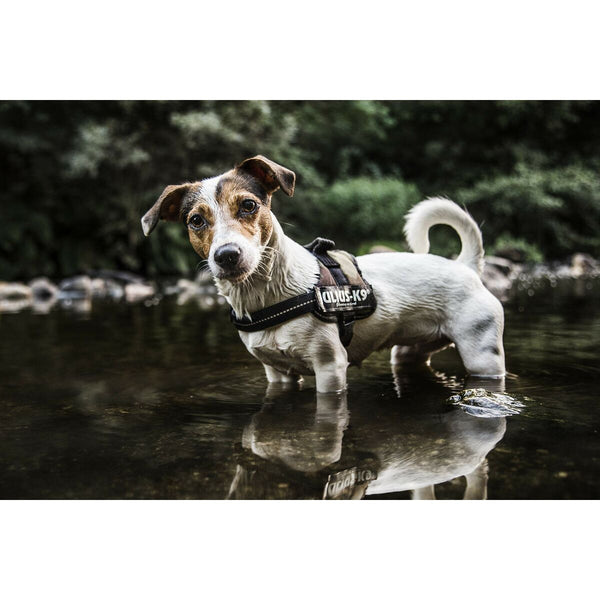 V3H80FF07D46DCDF008B8218E8D0FC41603R7526459P8