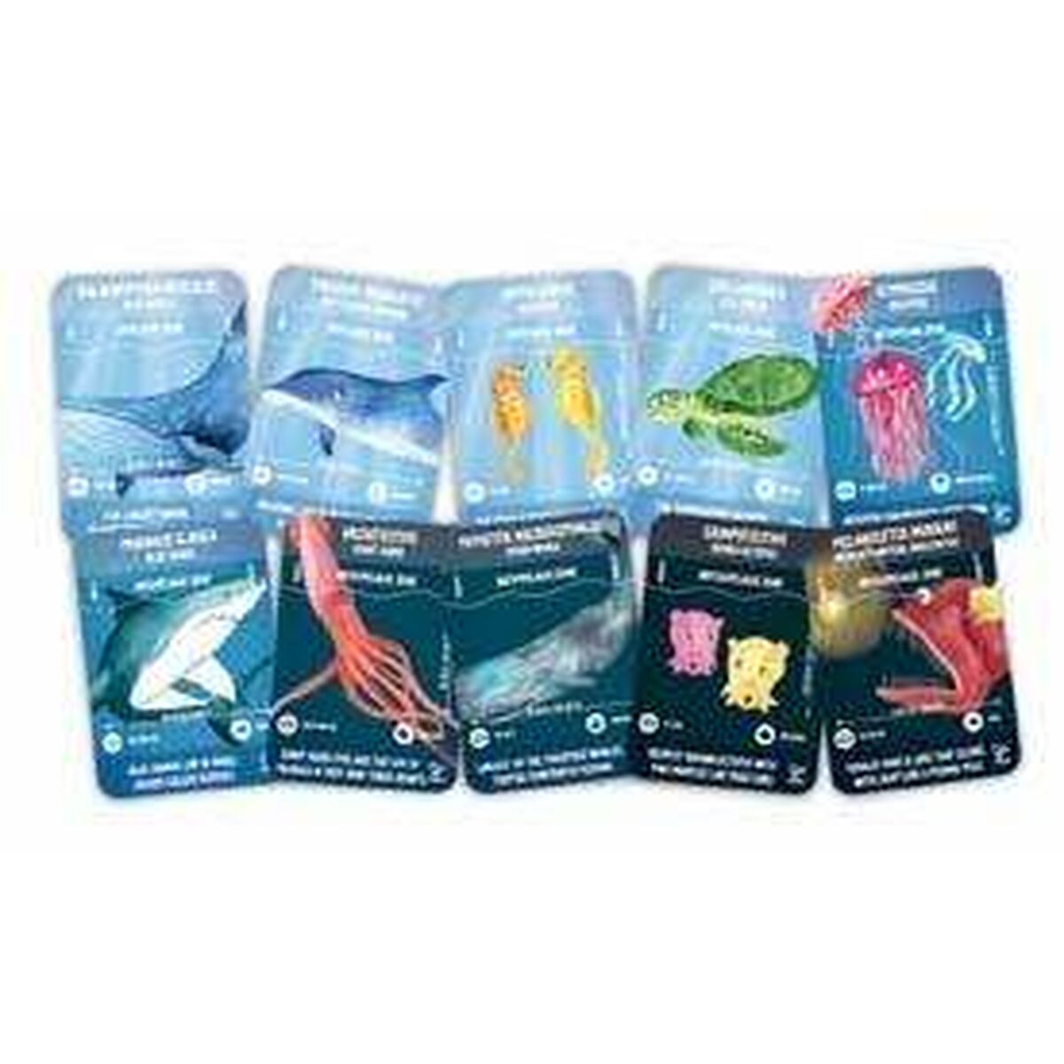 V9H3A1880034FAB530569C67C5A60B198A8R5269451P2