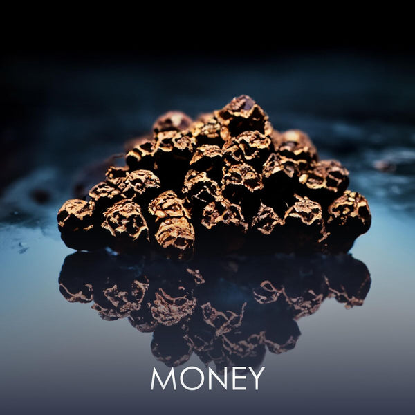 V3H247DF77C828DC58216B81B8E00096F9DR7401129P4