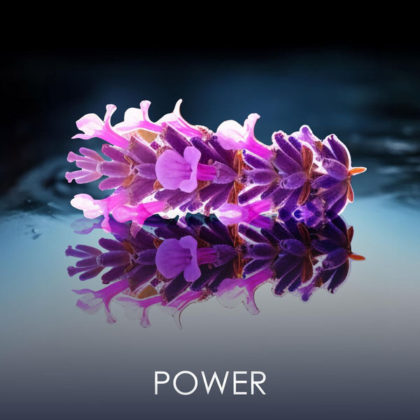 V3H4A36F6CA91908692C006B99824FA8A40R7401131P6