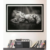 V4HC6CA1AA47DC8D1A90247BB0601AACA73R5803517P4