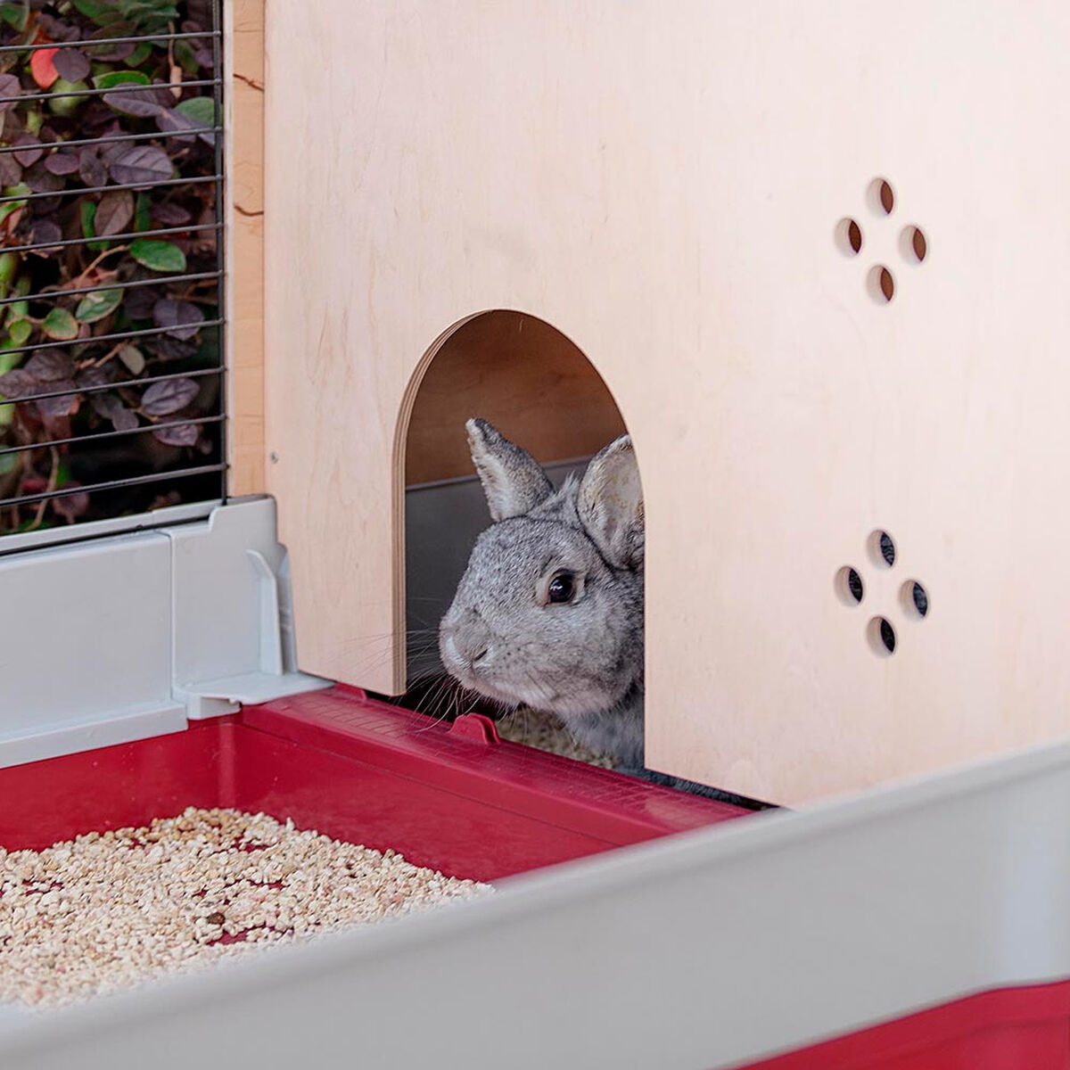 V8HBF97812CC8FD67E96CED3D10CD15ECD7R6404045P9