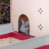 V8HF7C7A093245A8A1436EA03C2346EFD7AR6404047P10