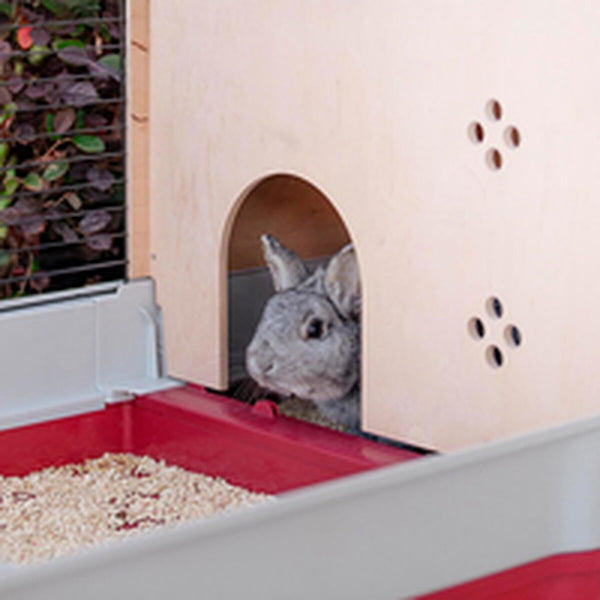 V8HF7C7A093245A8A1436EA03C2346EFD7AR6404047P10