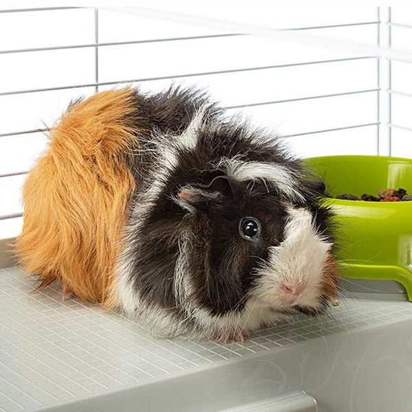 V9H83D4650DCA6DF1D8A79A23BB6B8E257BR6408323P6