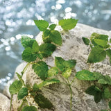 V3H6ED753EBA438E6D84501FD1AC40701D4R7528043P9