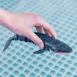 V6H8D82A3BBEE67563A6CAE1172773759C4R5423226P6