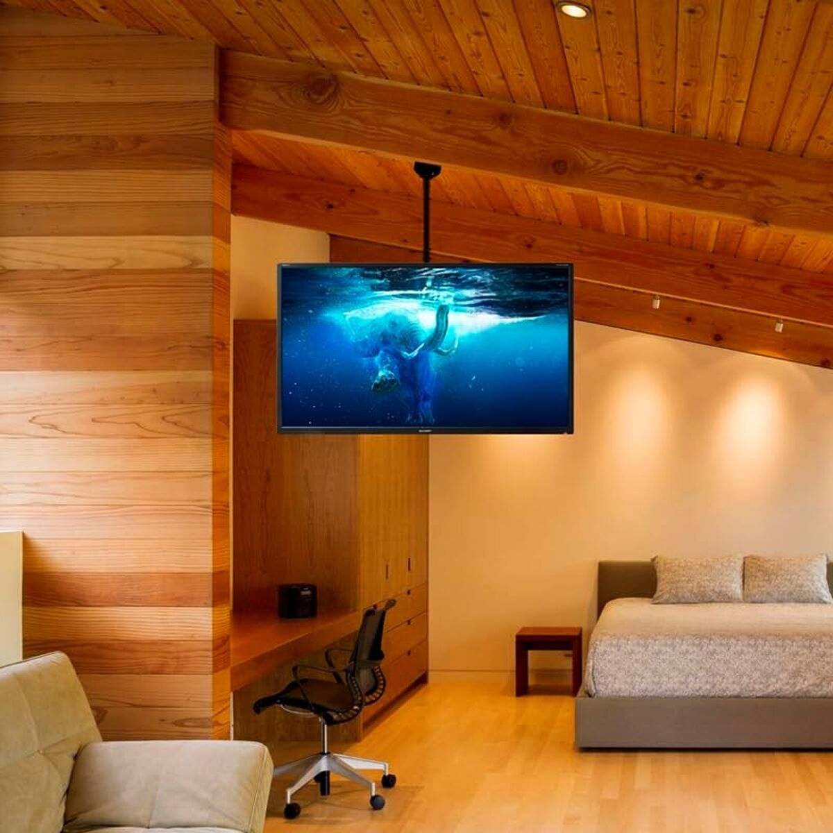 V3HD66696881A77798D7A1635E01EAEC5D4R7361903P4