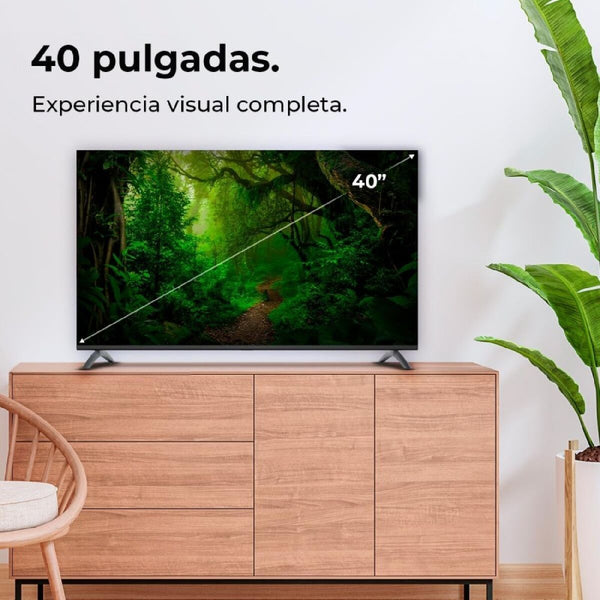 V6H9EA3D2CCFEFDDE6F78FCDA14E19D288BR6937666P2