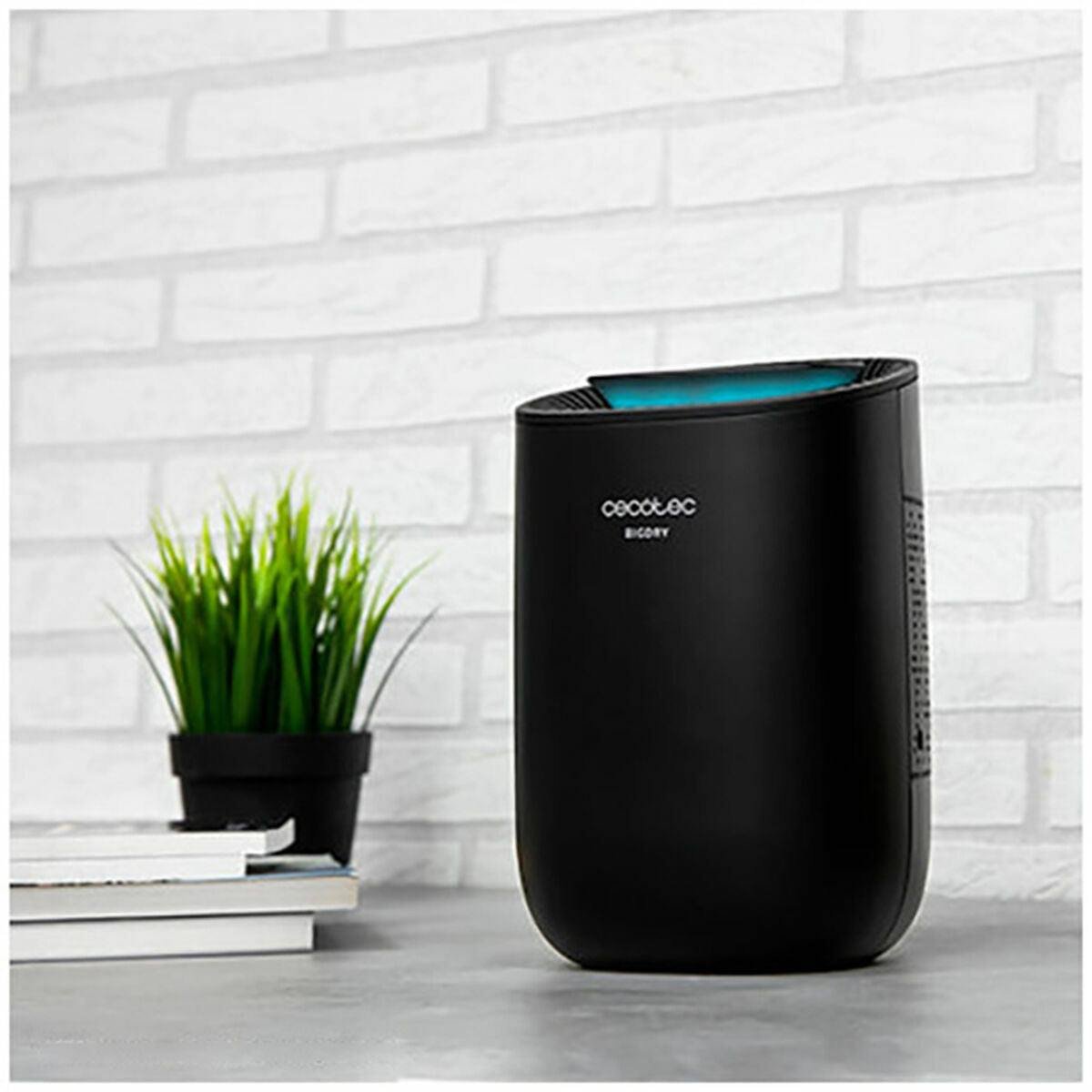 V10H7278A2E2817E20B9E96455399C6A0066R6937663P6