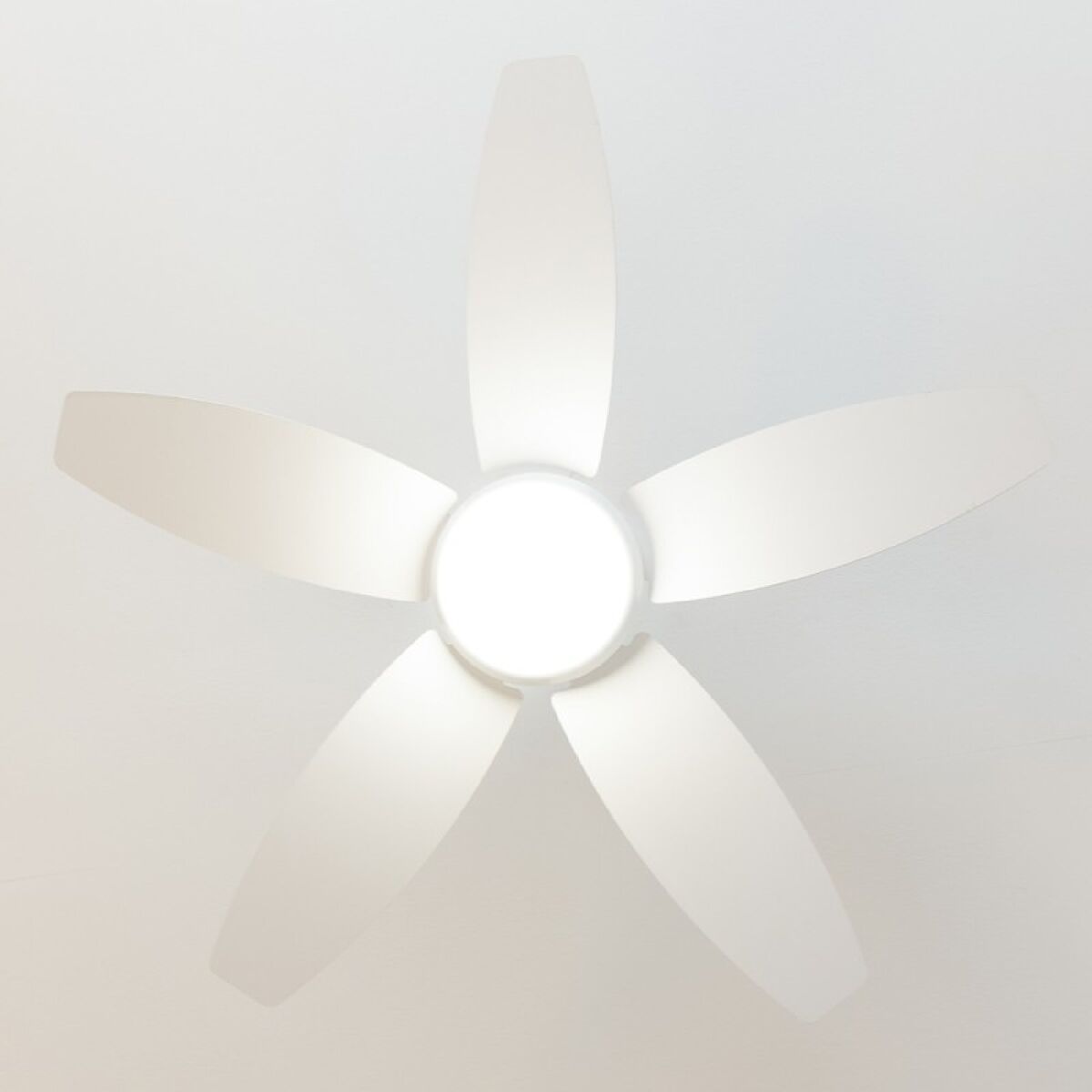 V5HBF3E6DCCB574B40C06A9533F305F52B1R5321981P4