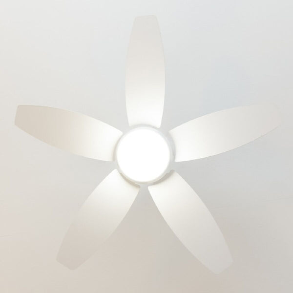 V6HBF3E6DCCB574B40C06A9533F305F52B1R5321981P4