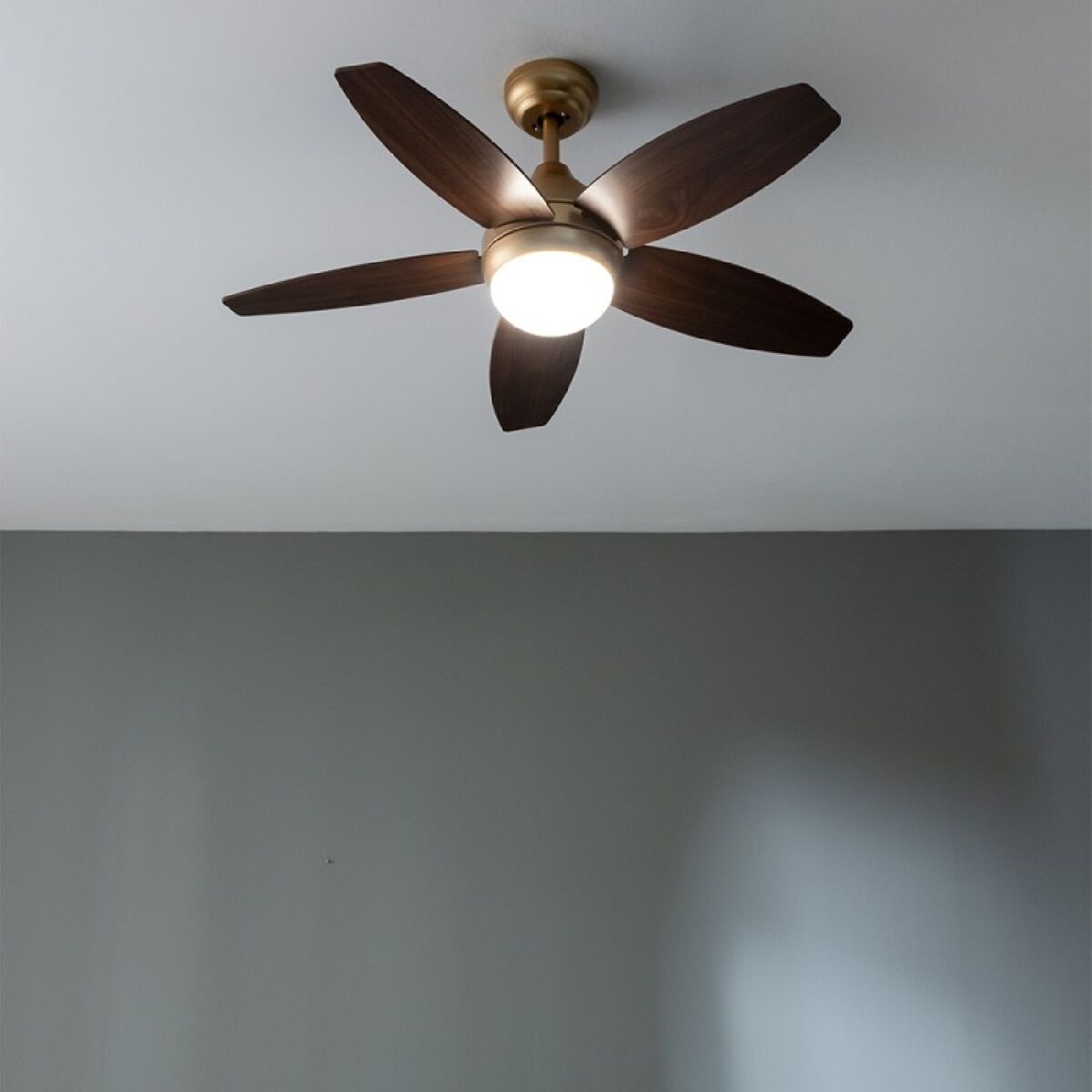 V6HF2CC269BD6D3661F904539519B33F6DDR5321971P2